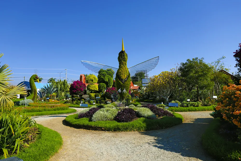 Jardin-Magico-de-Atlixco